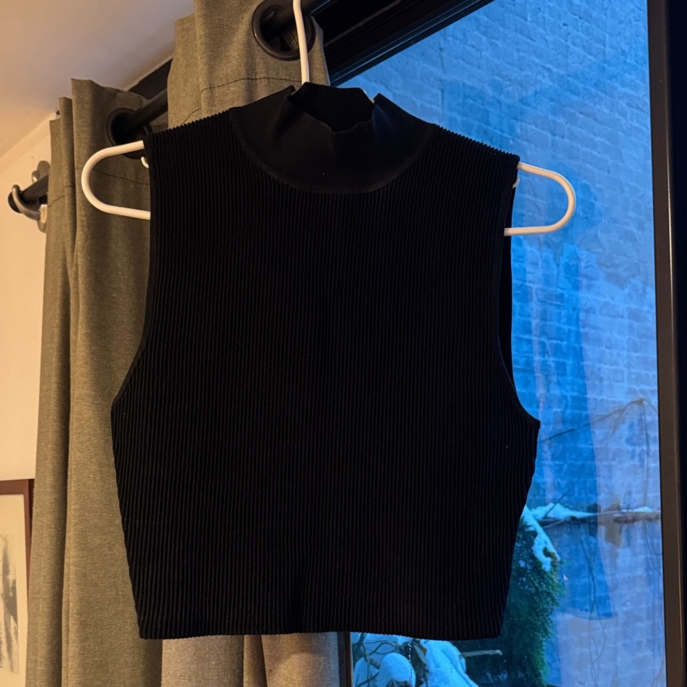 Aritzia Babaton  Black Sleeveless Ribbed Top turtleneck
